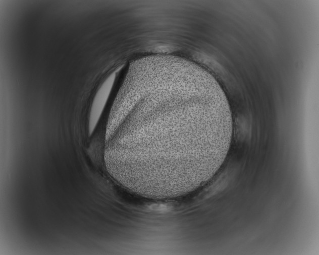 X0000088920358200707061407
