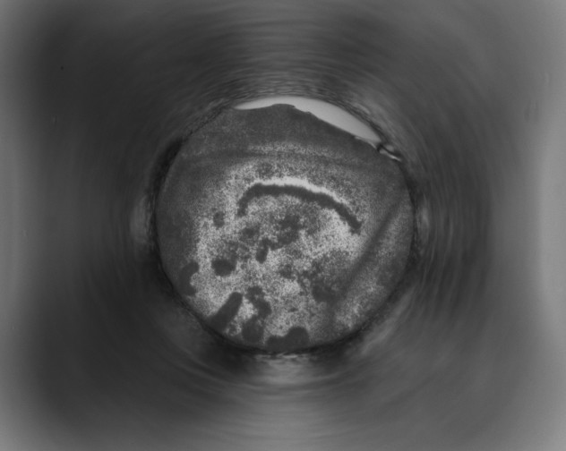 X0000088920359200707061407