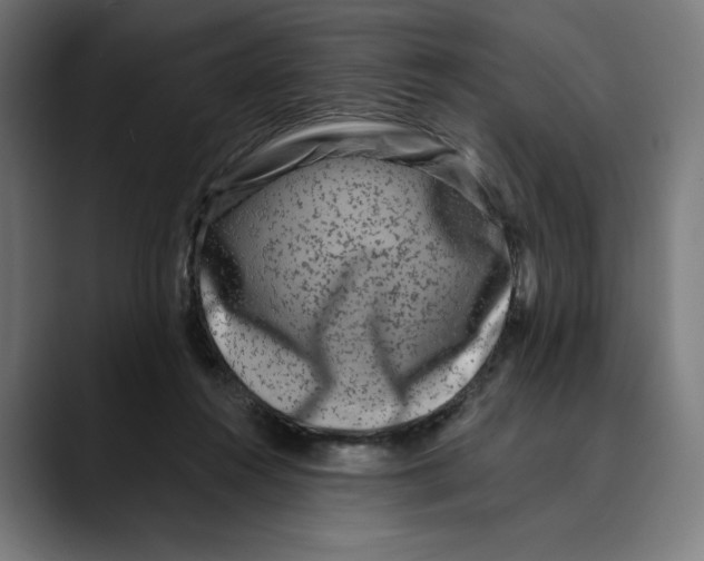 X0000088920360200707061407