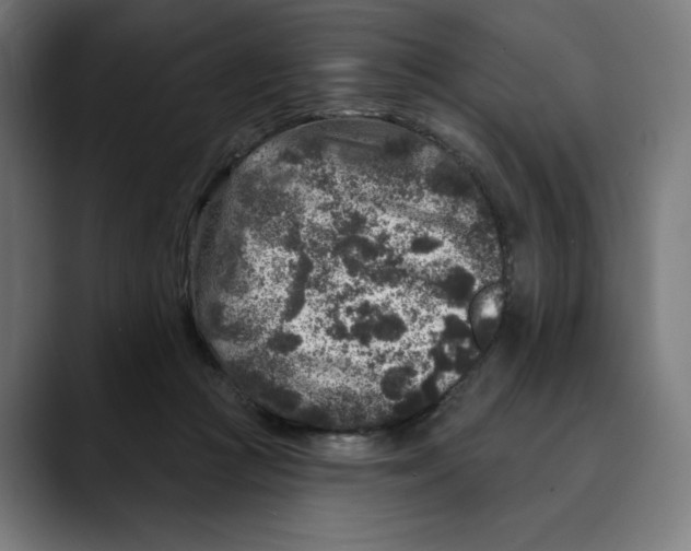 X0000088920361200707061407