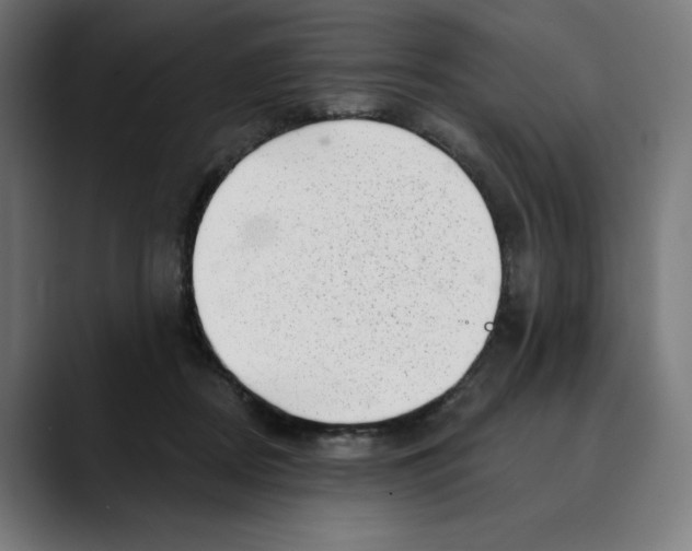 X0000088920362200707061407