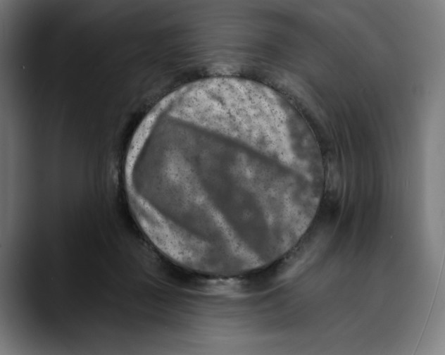 X0000088920363200707061407