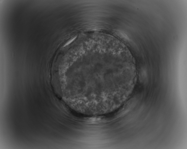X0000088920366200707061407