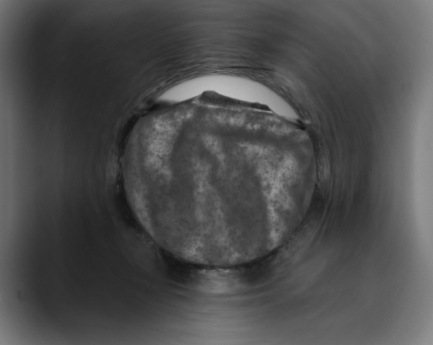 X0000088920367200707061407