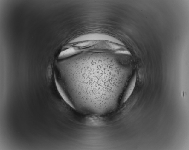 X0000088920372200707061407