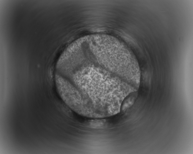 X0000088920373200707061407