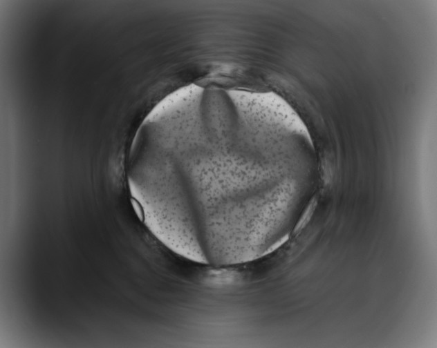 X0000088920376200707061407