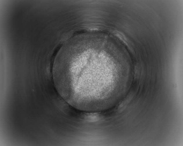 X0000088920377200707061407