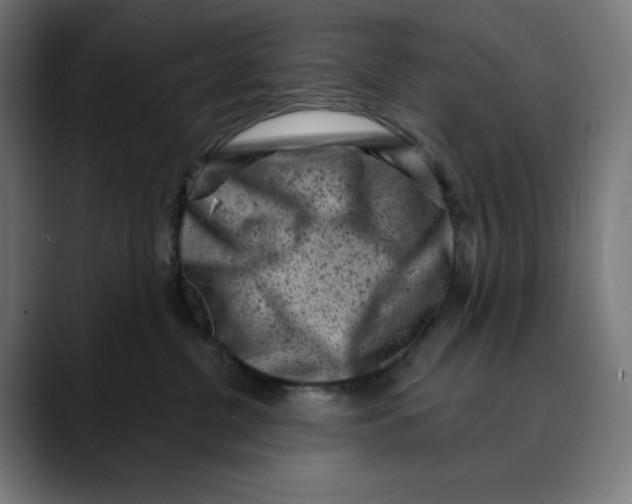 X0000088920380200707061408