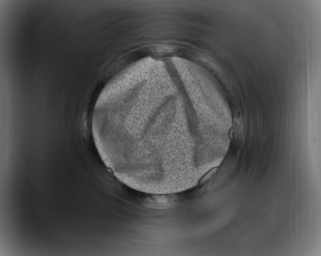 X0000088920381200707061408