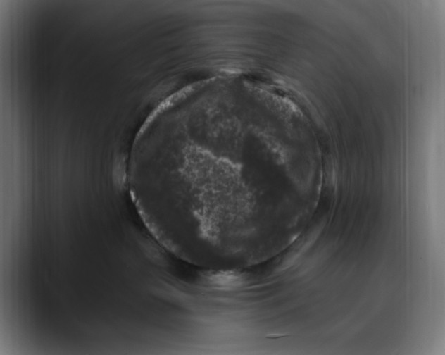 X0000088920383200707061408