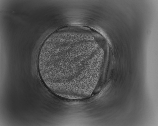 X0000088920385200707061407