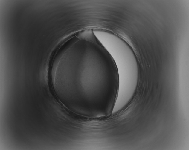 X0000088920387200707061407