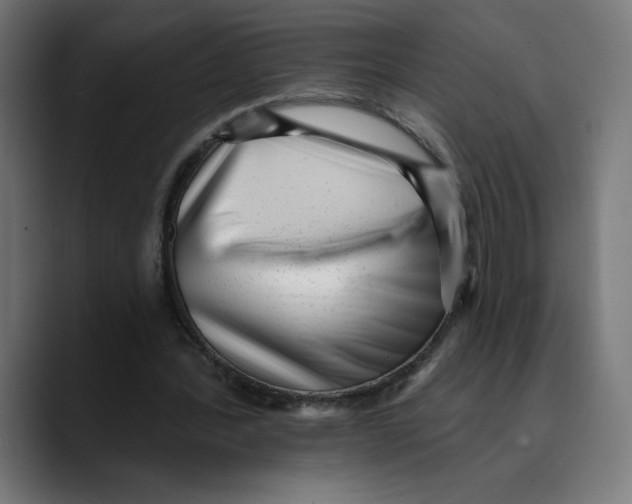 X0000088920388200707061407