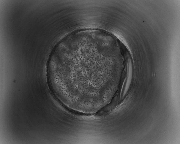 X0000088920389200707061407