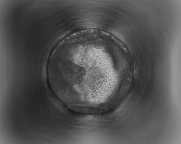 X0000088920390200707061407