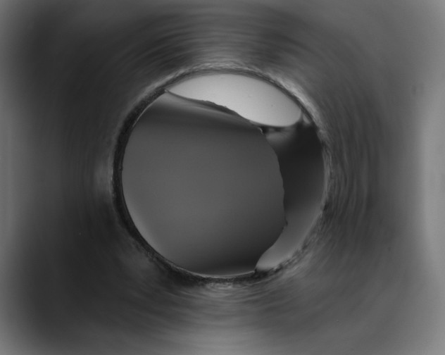 X0000088920391200707061407