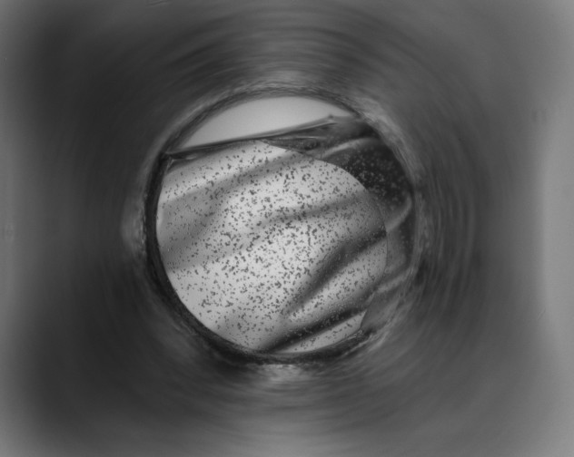 X0000088920392200707061407