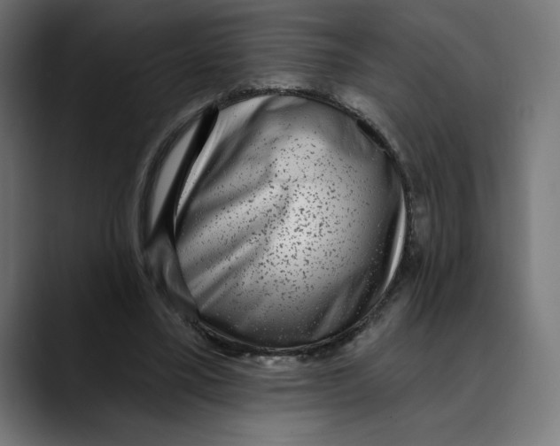 X0000088920395200707061407