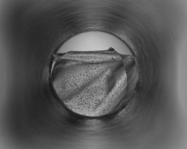 X0000088920397200707061407