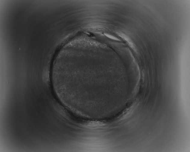 X0000088920399200707061407
