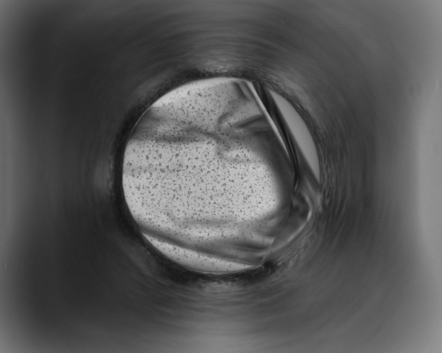 X0000088920400200707061407