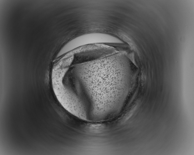 X0000088920401200707061407