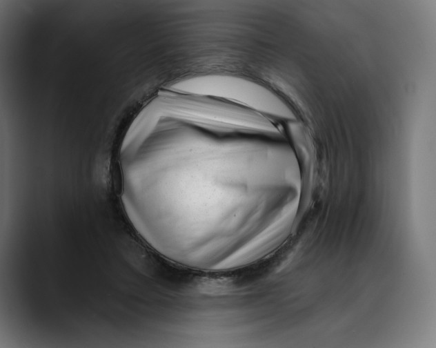 X0000088920403200707061407