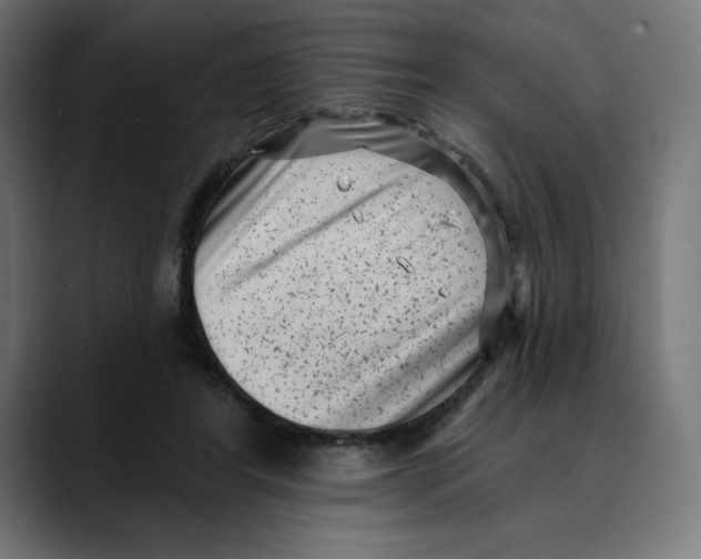X0000088920404200707061407