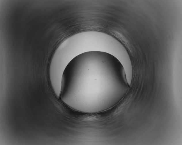 X0000088920405200707061407