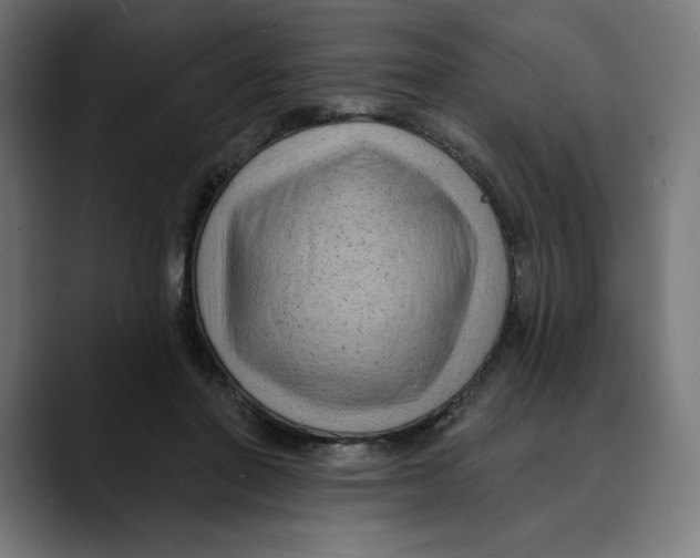 X0000088920406200707061407