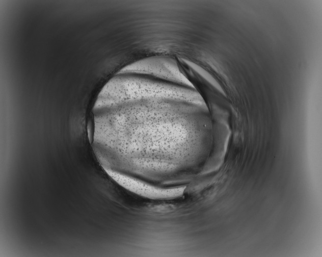 X0000088920407200707061407