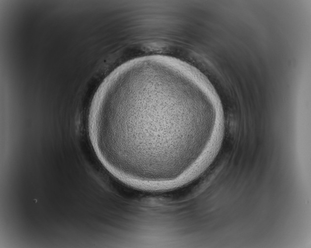 X0000088920408200707061407