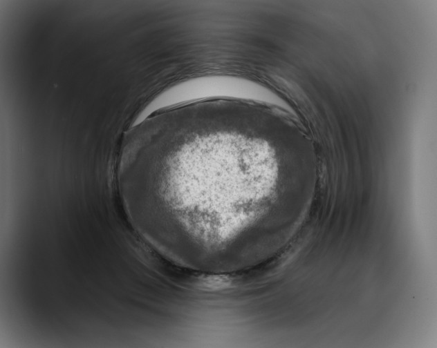 X0000088920409200707061407