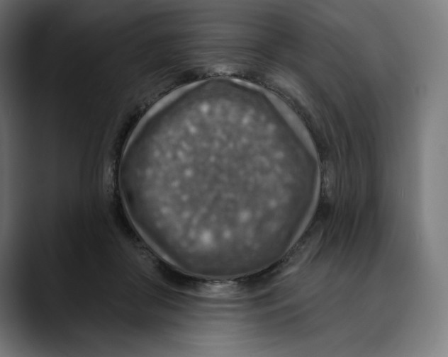 X0000088920410200707061407