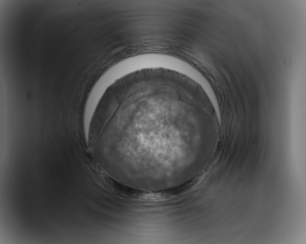 X0000088920413200707061407