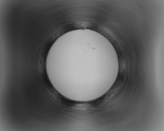 X0000088920414200707061407