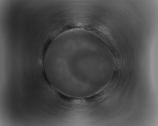 X0000088920415200707061407