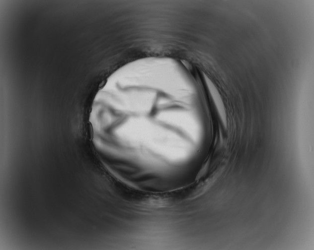 X0000088920416200707061407