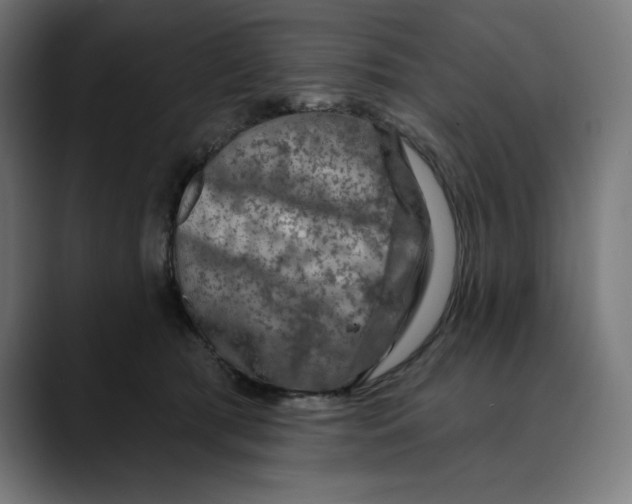 X0000088920417200707061407