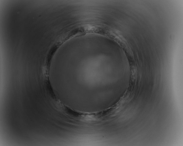 X0000088920419200707061407