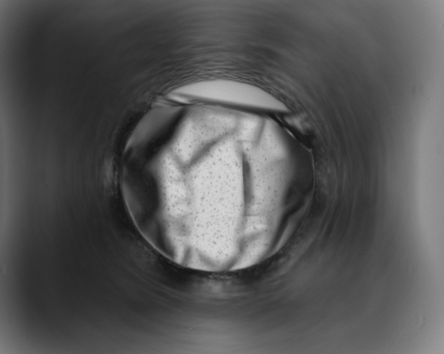 X0000088920420200707061407