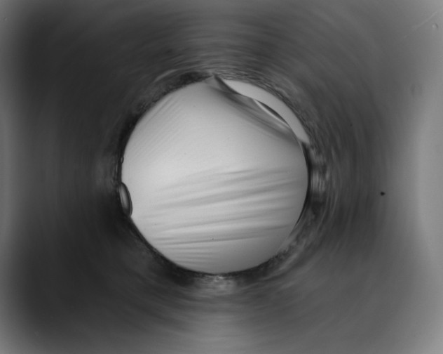 X0000088920421200707061407
