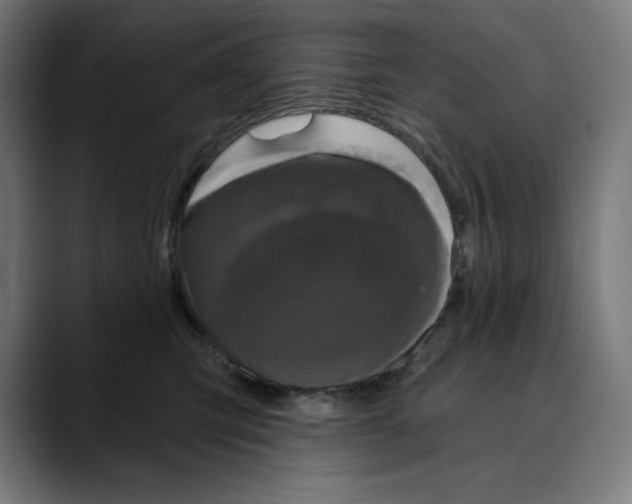 X0000088920423200707061407