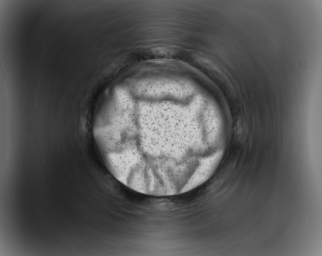 X0000088920424200707061407