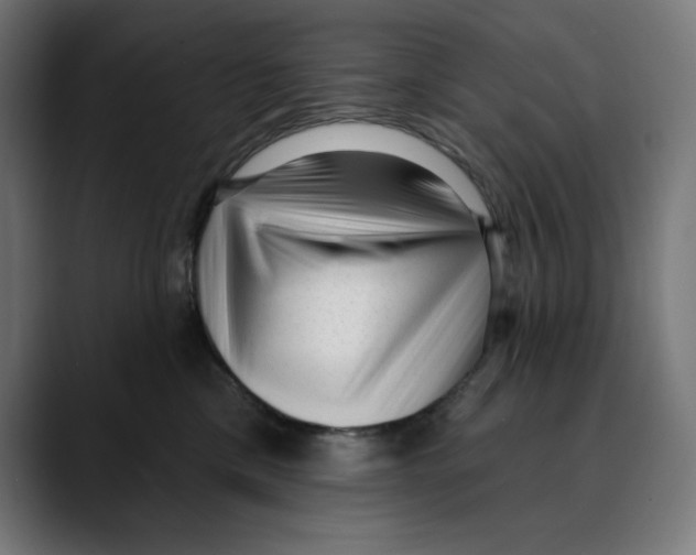X0000088920425200707061407
