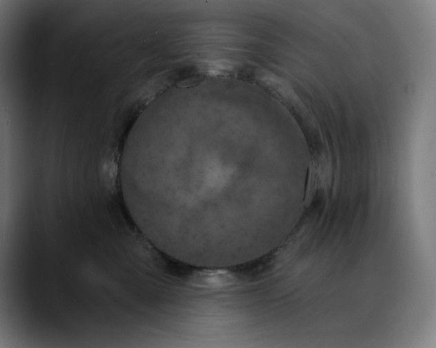 X0000088920427200707061407