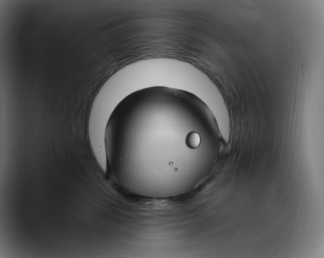 X0000088920428200707061407