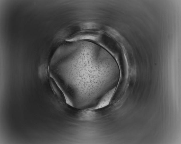 X0000088920429200707061406