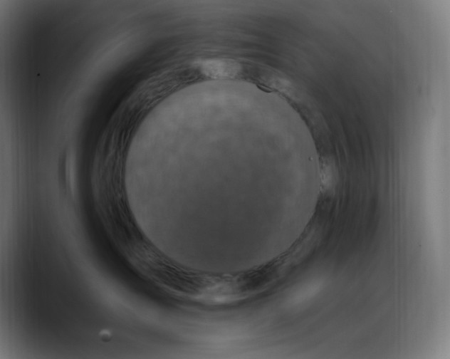 X0000088920431200707061406